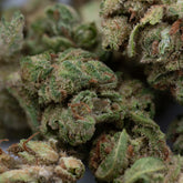 OG Watermelon THCa Hemp Flower Wholesale (Smalls) - Plants